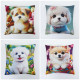 Наволочка на молнии из микрофибры Colorful Асорти 45х45 см арт. 523-14