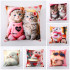 Наволочка на молнии из микрофибры Colorful Котики 45х45 см арт. 523-20