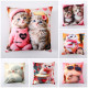 Наволочка на молнии из микрофибры Colorful Котики 45х45 см арт. 523-20
