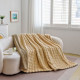 Плед-покрывало евро из микрофибры Шиншила на овчине 200х230 см Colorful арт. 05-19/2