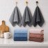 Полотенце кухонное из микрофибры 25х50 см Colorful арт. 501-257